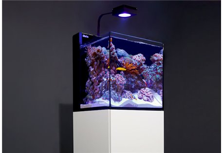 Red Sea NANO MAX Complete Reef System bez stolku