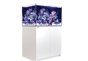 REEFER™ XL - 300 - White