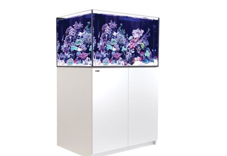 REEFER™ XL - 300 - White