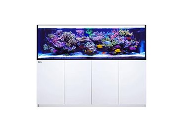 REEFER™3XL 900 -White