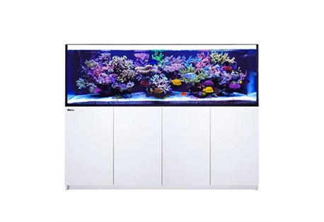 REEFER™3XL 900 -White