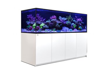 REEFER-S 1000- White (210cm)