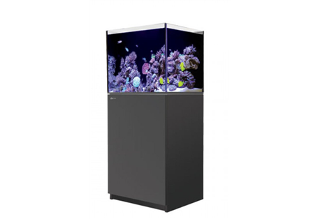 REEFER™ 170 - Black