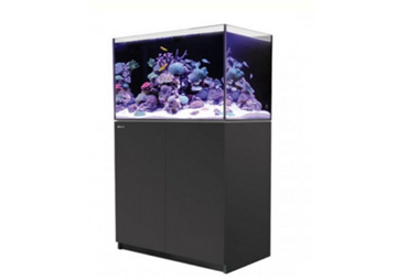 REEFER™ 250 -Black