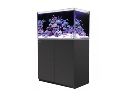 REEFER™ 250 -Black