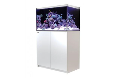 REEFER™ 250 -White