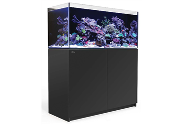 REEFER™ 350 -Black