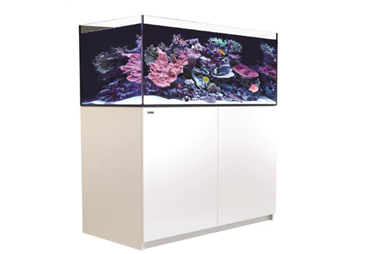REEFER™ XL - 425 - White