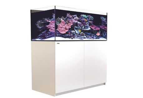 REEFER™ XL - 425 - White