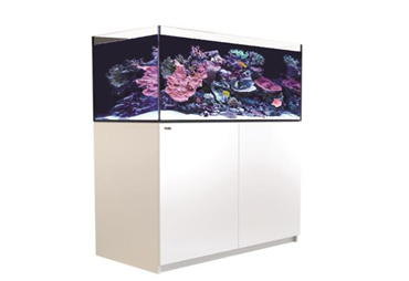 REEFER™ XL- 525 - White
