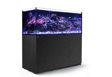 REEFER™ XXL 625 - Black