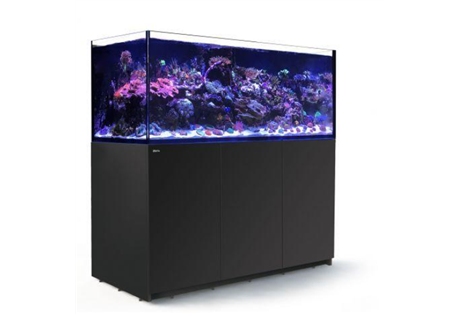 REEFER™ XXL 625 - Black
