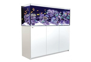 REEFER™ XXL 625 - White 