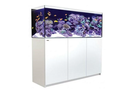 REEFER™ XXL 625 - White 