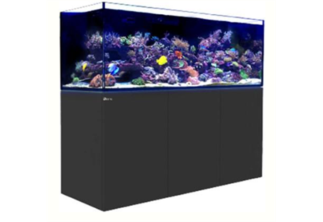 REEFER™ XXL 750 - Black