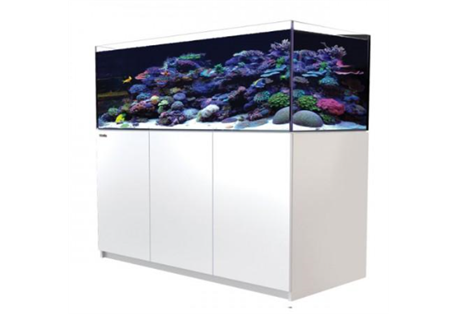 REEFER™ XXL 750 - White