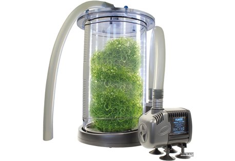 Macro Algae Reactor (TUNZE 3182.000) 
