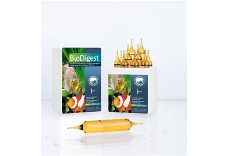 BioDigest PRO 10 amp velké 