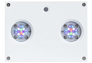 AI Hydra 32HD - akvarijní osvětlení 32-LED, bílá (~90W)