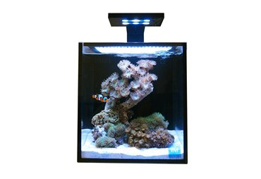 Nuvo Fusion 10 + Skkye LED Clamp 18W/10K-450nm, mořský set (38 litrů/černá)