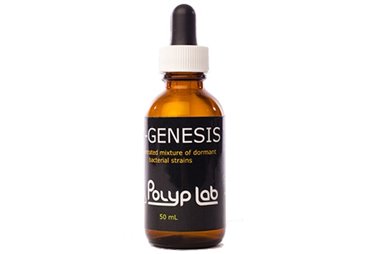 PolypLab Genesis Bacteria (50ml)